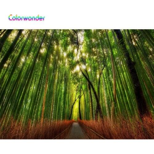 Fairy Tale World Photography Background Green Trees with Tall Bamboos 7x5ft Natural Scenery Backdrops for Photo Booth Studio