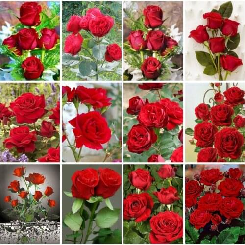 EverShine 5D Diamond Mosaic Rose Cross Stitch Diamond Embroidery Flowers Picture Rhienstones Mosaic Art Handmade Home Decor