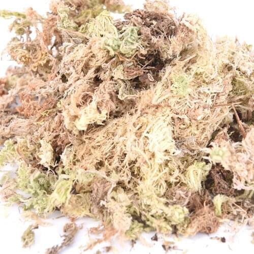 New 6L/12L Sphagnum Dry Moss Garden Moisturizing Nutrition Organic Fertilizer For Orchid Phalaenopsis Musgo Sphagnum