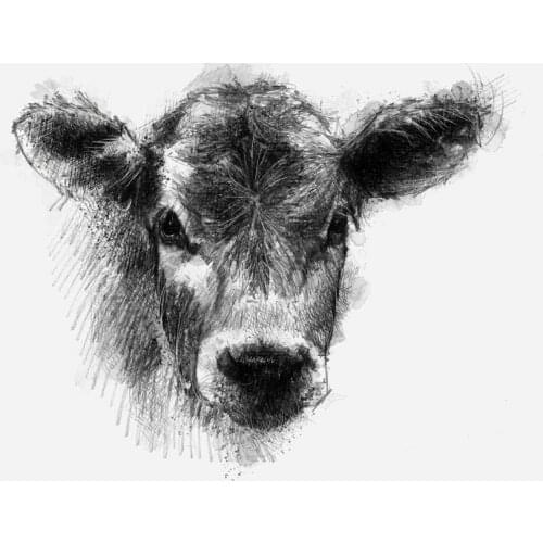 5D DIY Diamond Embroidery animal Cattle Diamond Painting Accessories Cross Stitch kit Full Rhinestone Mosaic decor Gift G126