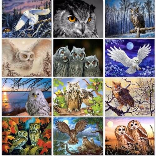 GATYZTORY DIY Paint By Numbers For Adults Animal Handpainted Gift Oil Painitng By Numbers Eagle Acrylic Paint Home Decor Unframe