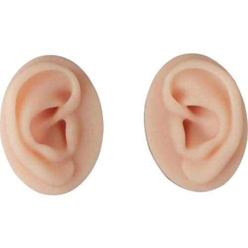 Life Size Silicon Human Organ Ear Model Ear Model Soft Silicone Earphone Display Earring Stand Model for Learning acupuncture