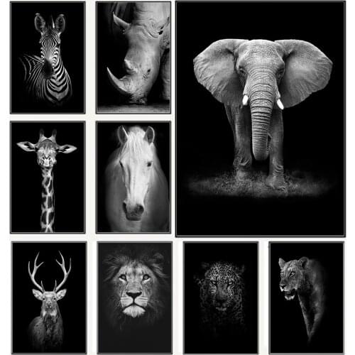 DOOADNA Interior Decor Items