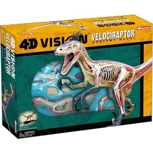 Bell Dragon 4D MASTER puzzle assembly toy animal dinosaur organ anatomy medical teaching model