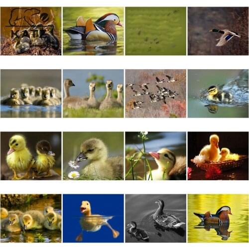 Diamond Painting Little Yellow Duck Diy Mosaic Home Decoration Animal Diamond Embroidery Decor Pictures Cross-Stitch Kit Art
