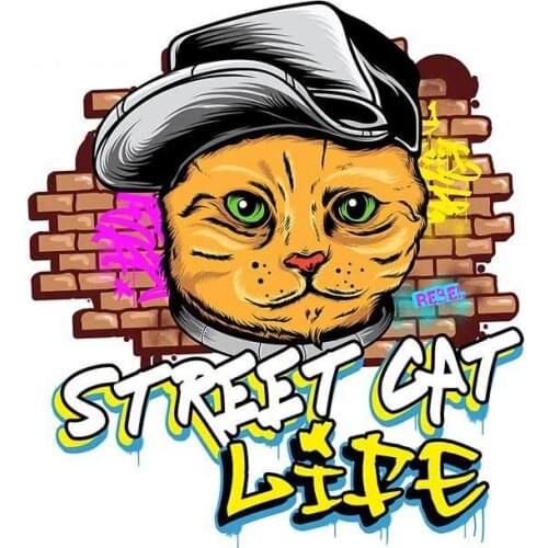 Hot 13 Cm X 11.7cm for Street Cat Life Car Waterproof Decal Custom Printing Stickers Graffiti Sticker Windshield Decor for Car