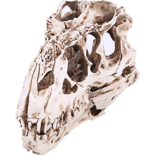 Resin Dinosaur Skull Crafts Statues Figurines Art Sculptures Ornaments Fossils Teaching Skeleton Model Halloween Festival Decor