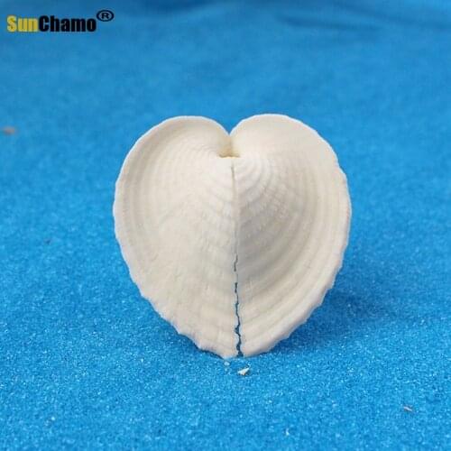Love Shell Natural Conch Shell Home Platform Decoration Mediterranean Style Furnishing Creative DIY Drift Bottle Home Decoration