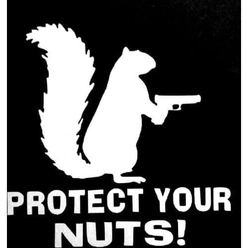 12.9CM*12.7CM Protect Your Nuts Squirrel Police Army Navy Marines Car Stickers And Decals Creative Sticker