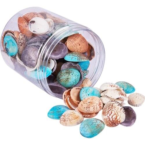 100-120 Pieces Natural Dyed Seashells Sea Shells Accessories for Aquarium Fish Tank Wedding Display Craft Table Decoration