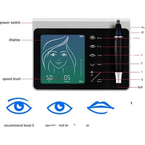 ACE TATTOO Eyebrow Tattoos