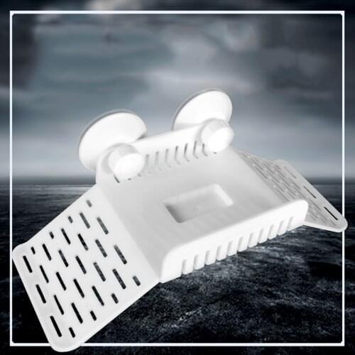 Bridge For Turtle Amphibious Reptile Drying Platform DIY Assembly with Climbing Coconut Tree Brazil Turtle Water Turtle Tortoise