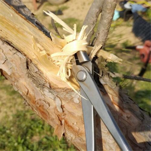 Jin Pliers Beginner Bonsai Tools 210 Mm (8"3) Manufactured By Stainless Steel Modeling Tools Scissor Garden Flower Pruning Tools