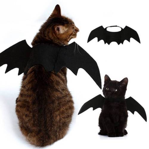 Bat Wings Vampire Black Cute Fancy Dress Up Halloween Pet Dog Cat Costume