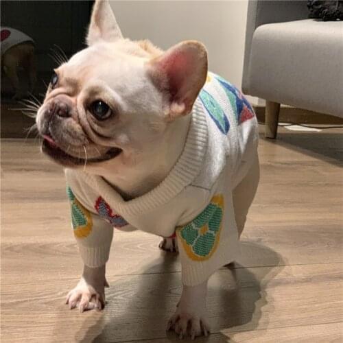 Pets Fashion Dog outfit Cat Bulldog Pug Dog Teddy Schnauzer Puppy Dog Clothes Autumn Winter Dog Dress
