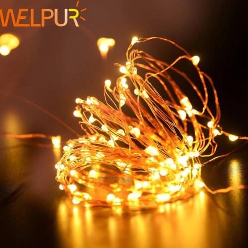 WELPUR LED String Lights With Transparent Wire