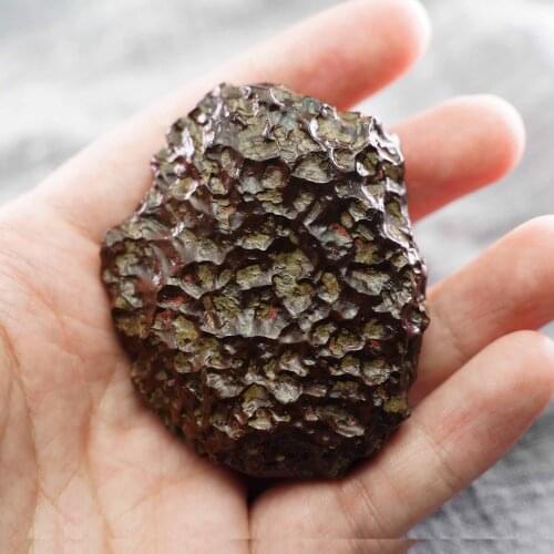 1pcs limited rare meteorite natural moon dragon scale meteorite falling stone specimen collection home decoration Random shape