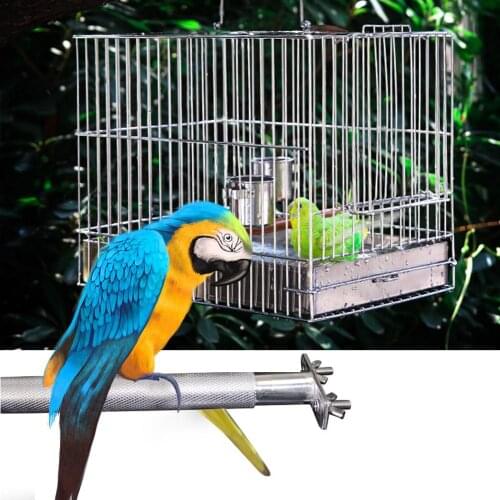 Peitten Parrot Perches