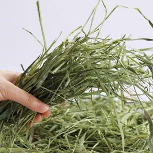 Rabbit Chinchilla Guinea Pig HayTimothy Hay Timothy Grass Rabbit FEED 500g/pack