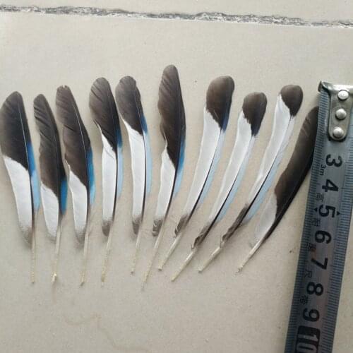 Wholesale 10 pcs Natural Kingfisher Feather 8-12 cm/3-5 inches DIY jewelry wedding decorative accessories