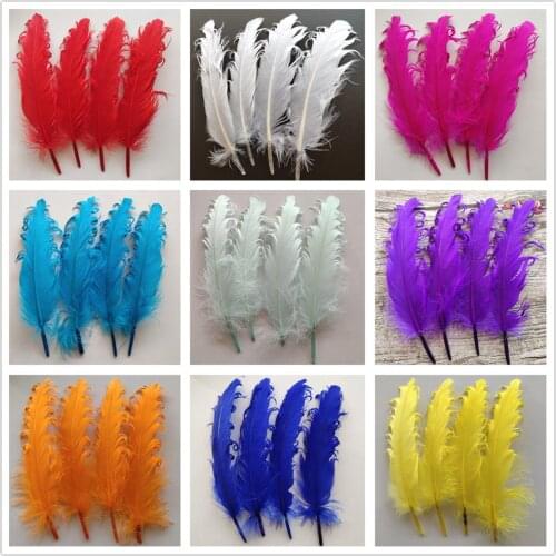 Wholesale 10pcs Beautiful 12 Color Hard Goose Feathers 13-18cm Christmas Decoration Clothing Shoes Hat Accessories