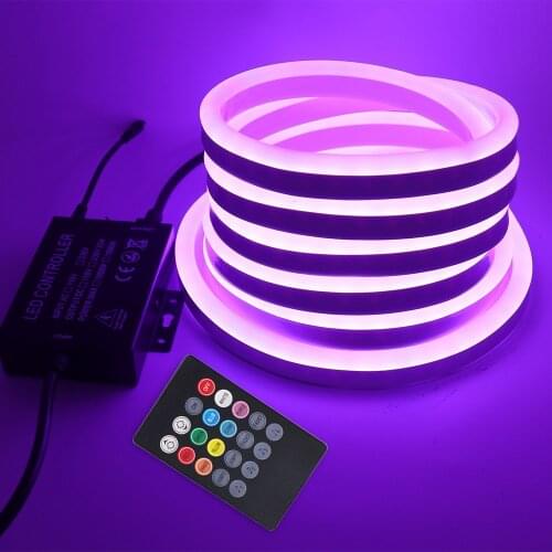 Neon Sign LED Strip Light RGB Music Bluetooth APP/20key Remote Control 220V 110V Rope Lights IP67 Waterproof Flexible Led Ribbon