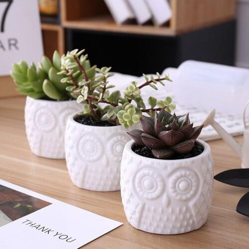 1pcs Lovely Owl Succulent Plant Flower Pot Ceramic Creative Plant Potted Pot for Home Garden Potted Decoration