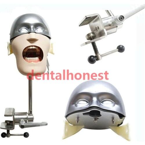Stainless steel head model NISSIN Dental manikins and models Phantom Head Dental teaching model