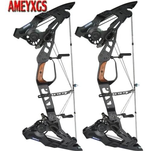 Archery 32inch Compound Bow 21.5-80lbs Adjustable Draw Weight Steel Ball/Arrow Dual-purpose Outdoor Shooting Training Bow