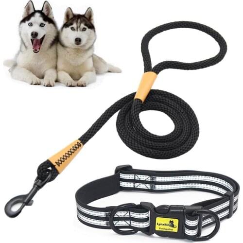 Easy On Pet Dog Collar And Leash Set Nylon Adjustabele Collar Dog Training Leash Reflective Pet Supplies Dog Accessories