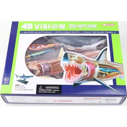 Shark Teaching Model 4D MASTER Puzzle Assembled Toy Animal Biological Organ Anatomy Medicine