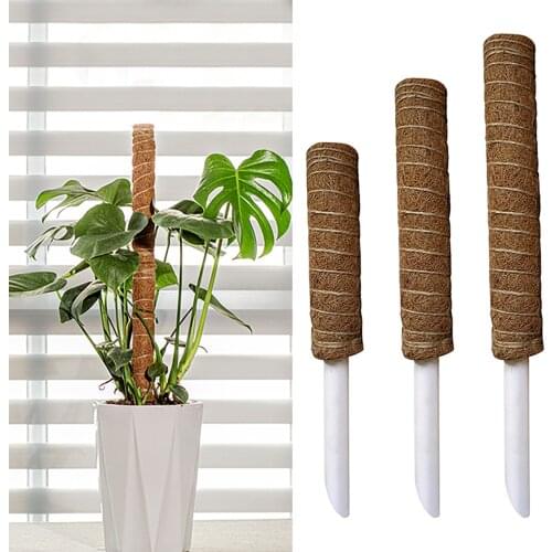 Plant Climbing Pole Coir Moss Stick Coir Moss Palm Vines Stick Plant Support Extension Climbing Indoor Plants Creepers30/40/50cm