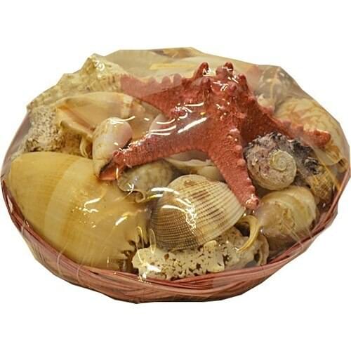Fethiye Gift Sea Shell Basket