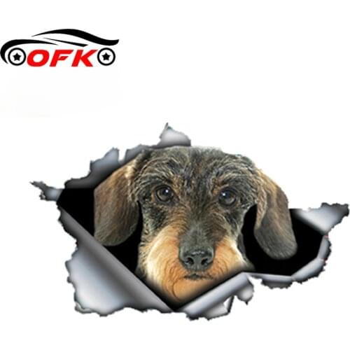 13cm X 8cmCar Stickers Decor Motorcycle Decals Wire Haired Dachshund Decorative Accessories Creative Sunscreen Waterproof PVC