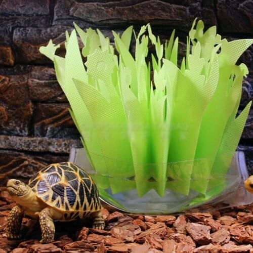 Pet Reptile Tortoise Lizard Terrarium Box Humidifier Without Electricity Moisturizing Natural Gasification Humidification