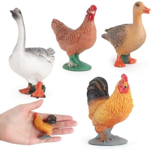Simulation Farm Poultry Animal model Chicken Fowl Duck Goose Rooster Action figures plastic Figurines Farm series Kids Toys