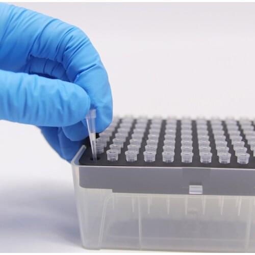 Lab Pipette Tips 10ul 96/Box Medical Grade Polypropylene Sterilized Filter Tips Lab Equipment Plastic Pipette For Creativity Tip