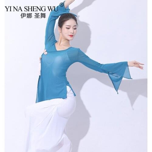 Elegant Chinese Classical Dance Shirt Long Sleeve Sexy Transparent Mesh Body Rhyme Top Profession Dancer Practice Clothing Set