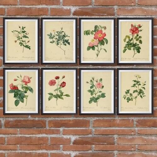 Antique Plants Illustrations Posters Vintage Botanical Prints Decor Wall Art Pictures Rose Flower Painting Kraft paper
