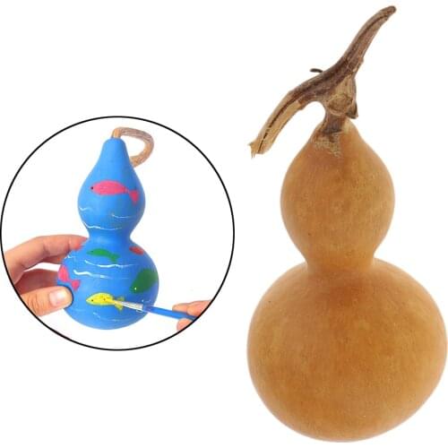 Natural Gourd Dried Rustic Table Ornament Crafts For Fall Bowl Filler DIY Paints