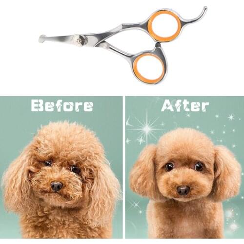 Professional Pet Hair Scissor Stainless Steel Durable Safety Rounded Tips Cat Dog Hair Cutting Tools Pets Grooming Supplies