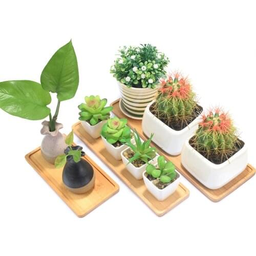 Mini Plant Flower Pot Rectangle Shape Bamboo Saucer Plant Trays Stand Favor Succulent Pot Tray Simple Elegant Design Home Decor