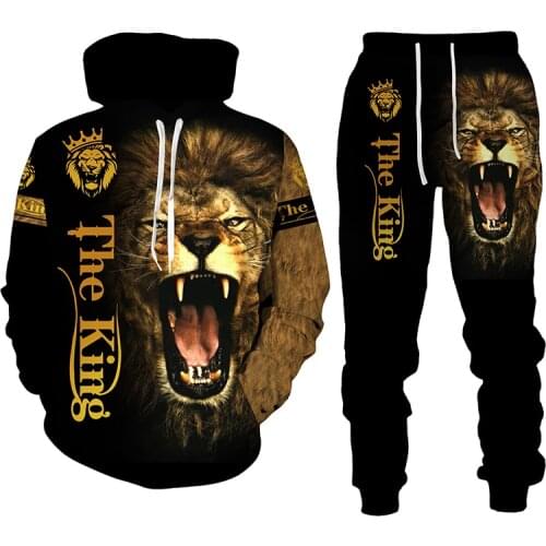 Men hooded pants 3D print animal tiger suit sportswear two piece casual fashion quick dry plus size