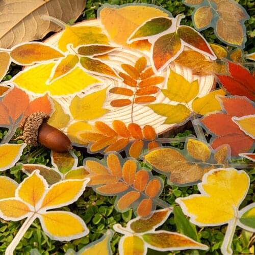 Gimue Goods For Training