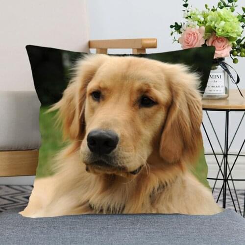45X45cm Golden Retriever Dog Pillow Cover Bedroom Home Office Decorative Pillowcase Square Zipper Pillow Cases Satin Soft Fabric