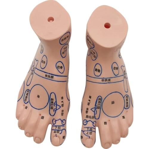 1 pair 14cm Foot Massage Model, Foot Massage Practice Model Chinese Language Feet Reflexology for Classroom Study Display Tools