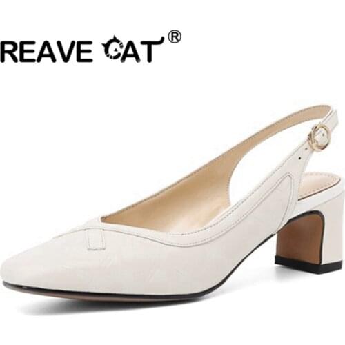 REAVE CAT New 2021 Ladies Pumps Summer Square Toe Genuine Leather Buckle Apricot Big Size 34-43 Elegent Office Work A4045