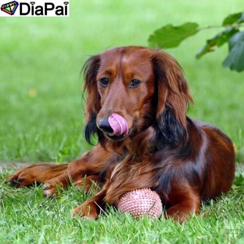DIAPAI 5D Diamond Embroidery Needlework Kit "Animal dog" Diy Diamond Painting Cross Stitch Home Decoration Gift A26146