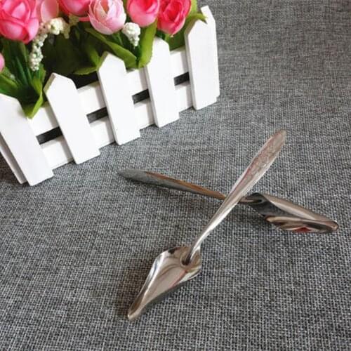 5 Pcs Baby Bird Pointed Feeding Spoon Stainless Steel Milk Medicine Parrot Feeder for All Baby Bird Peony Cockatiel Pet Feeding