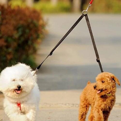 Two Dogs Leash Double Twin Dual Coupler Dog Leash Two in One Strong Nylon V Shape Two Way Dog Walking Lead Leash